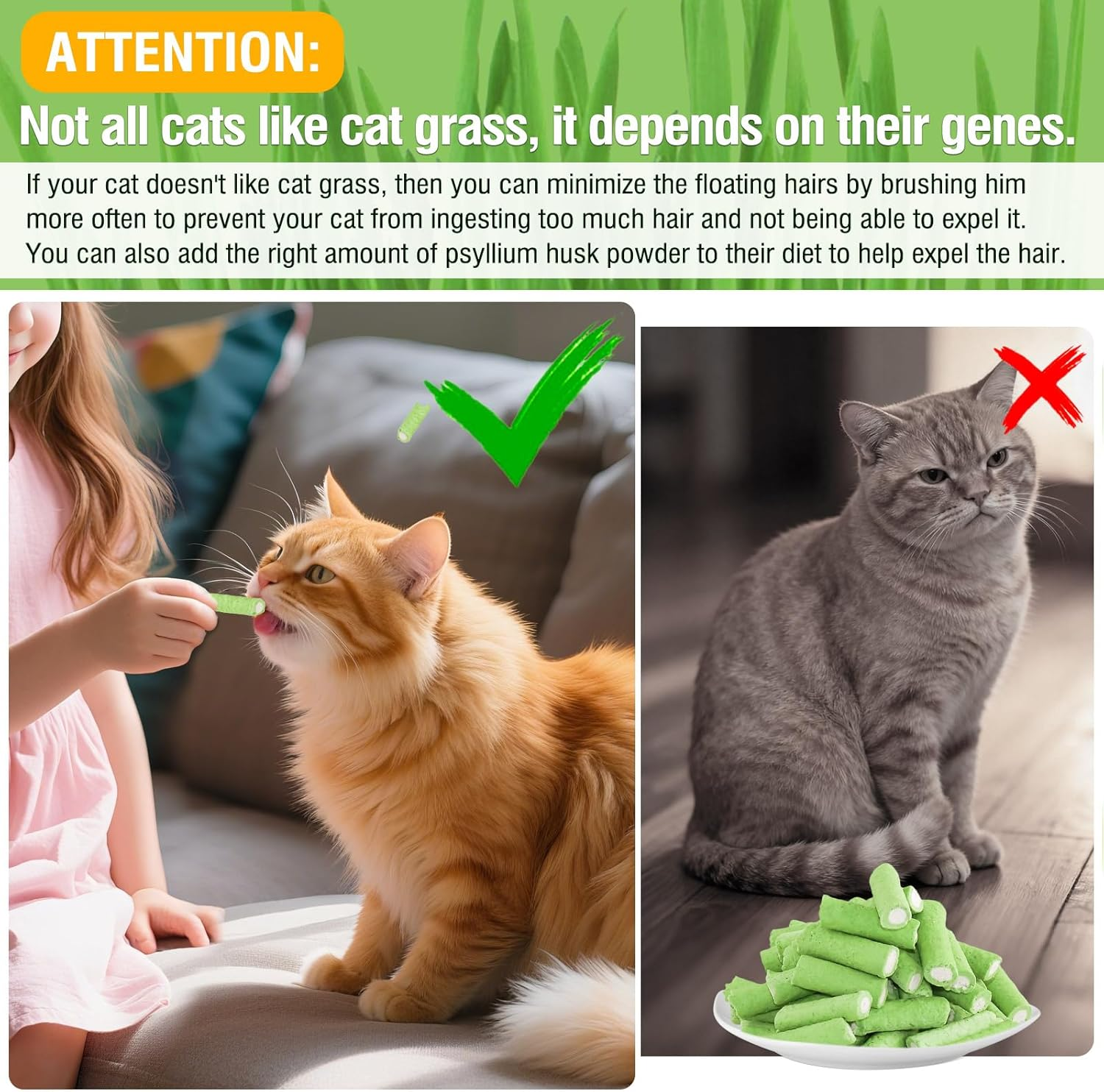 Cat Grass Teething Sticks, 100G Edible Freeze Drying Cat Grass Treats, Cats Chicken Snacks for Hairball Removal and Dental Care image number 4