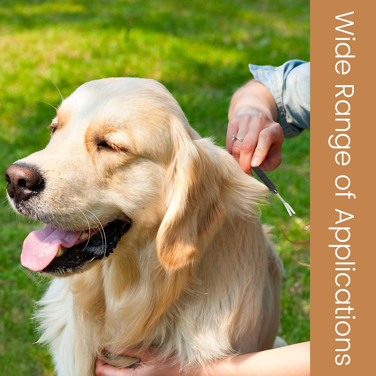 Muorruo 2 Pieces Premium Tick Removal Tool, Tick and Flea Removal Tool Made of Stainless Steel for Pets, Dogs, Cats and People, Safe Tick Remover and Precise Tweezers