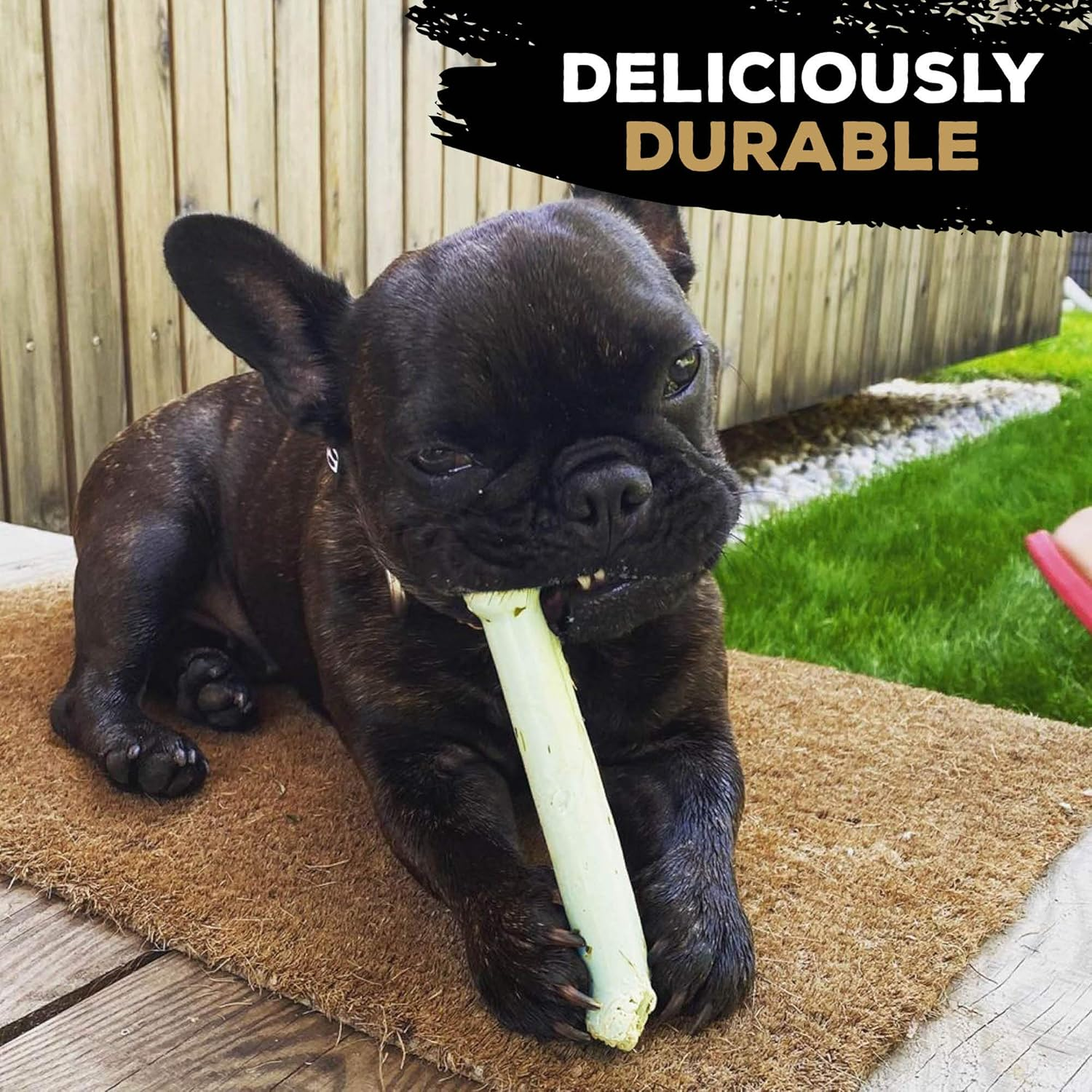 Tastybone Twin Pack Nylon Dog Chew Toys for Toy Dogs (Beef Wellington & Chicken Cordon Bleu) - Indestructible for Aggressive Chewers, Everlasting Flavour, Strong Healthy Teeth, Made in the UK image number 1