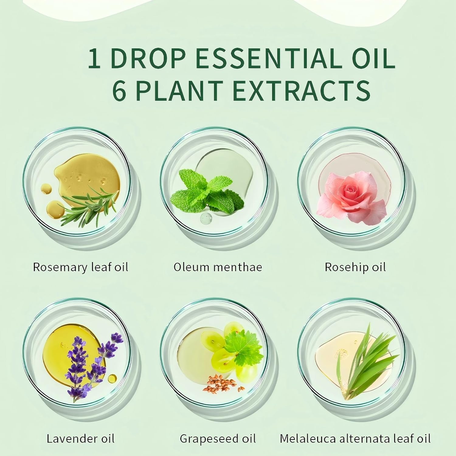 Rosemary Oil for Hair Growth, Rosemary Hair Care Essential Oil Is Smooth and Anti-Frizzy, Infused Biotin, Improves Perm and Dyeing, and Helps with Dry Hair, Scalp Hair Oil for All Hair Types 60Ml image number 3