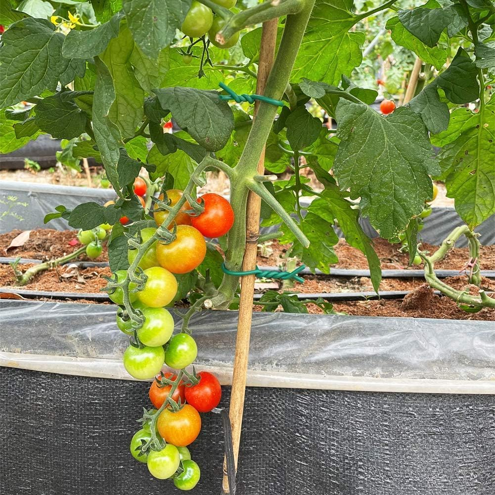 Garden Wire for Plants, Flexible Durable Heavy Duty Twist Wire, 65Ft 3.5Mm Soft Plant Ties for Climbing Plants,Tomatoes,Climbing Roses,Indoor & Outdoor Plants Gardening Supplies Twist Ties image number 6