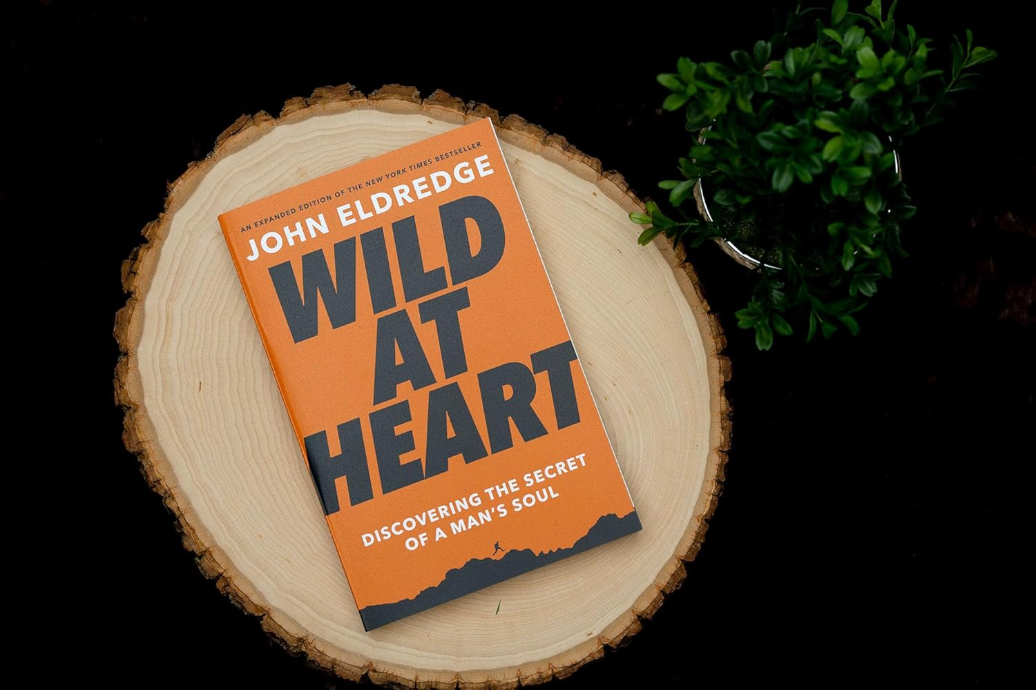 Wild at Heart Expanded Ed: Discovering the Secret of a Man'S Soul image number 5