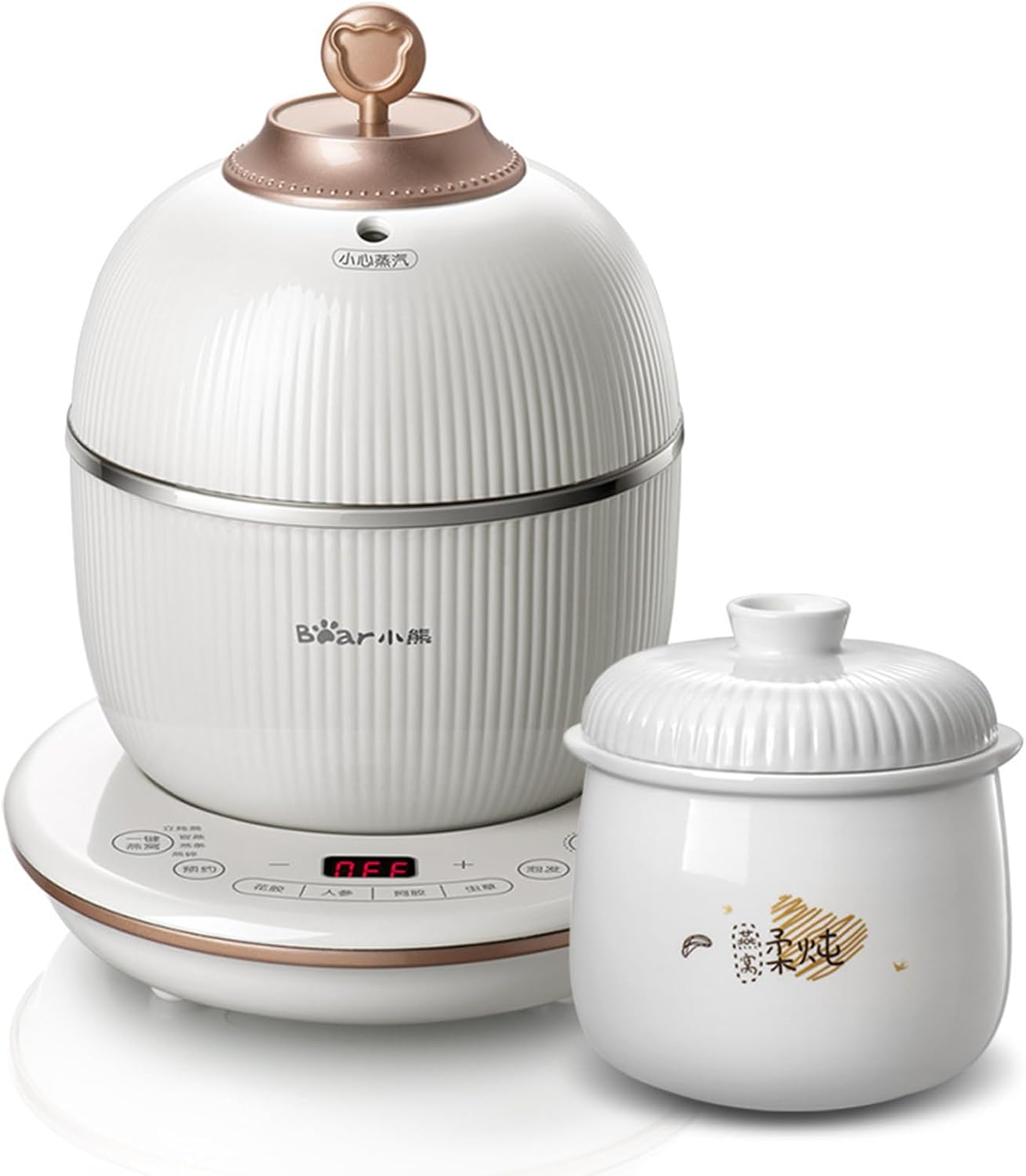 Electric Stew Pot, Multi-Function Bird'S Nest Stew Pot, Natural Ceramics Slow Cooking Method, Smart Appointment & Keep Warm for Chicken Soup, Flower Gum, Ginseng, Colla Corii Asini, Cordyceps image number 2