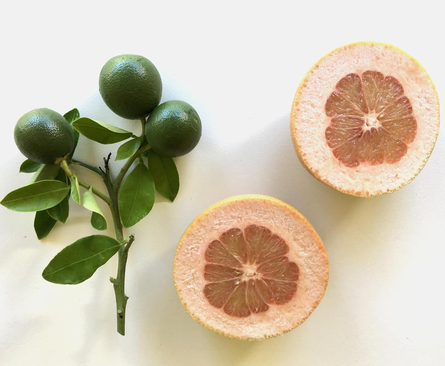 Murchison-Hume Superlative Hand Soap Refill 946Ml (Australian White Grapefruit) image number 3