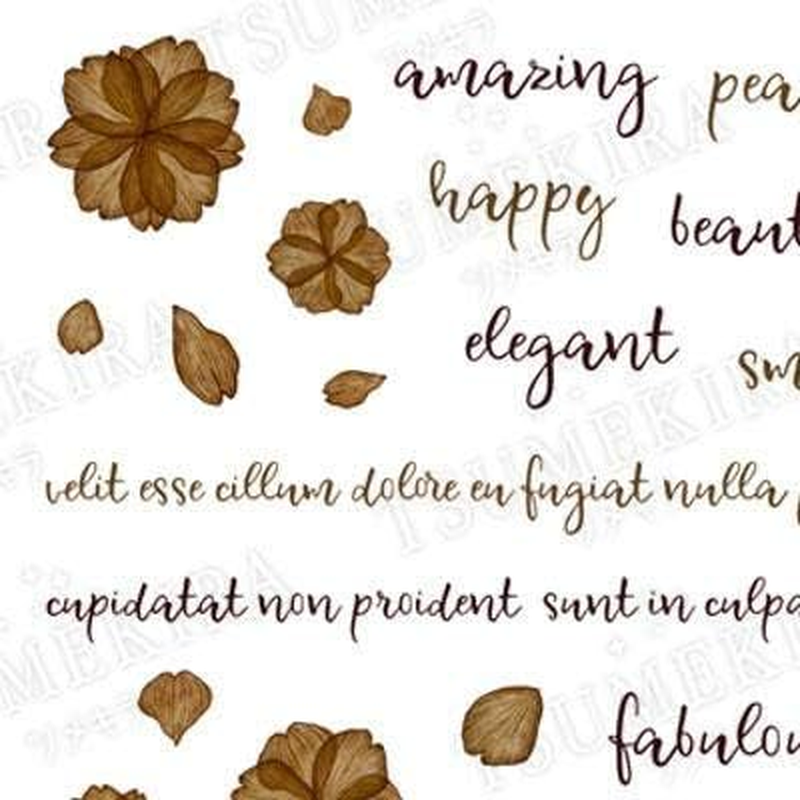 TSUMEKIRA NN-CBR-101 Nail Stickers, Chocolate Brown, 1 Piece image number 3