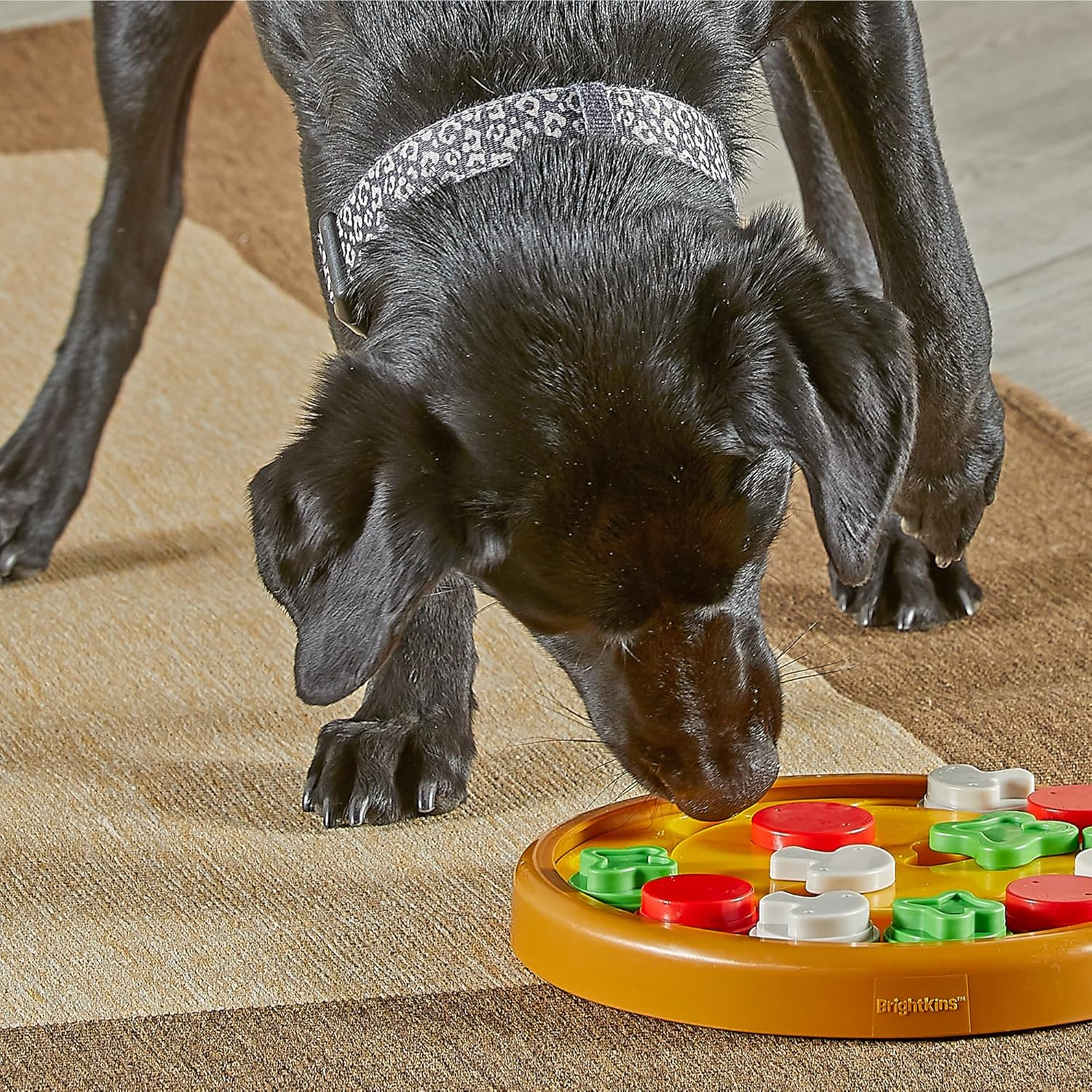 Brightkins Pizza Party! Treat Puzzle - Dog Puzzle Toys, Interactive Dog Toys, Dog
