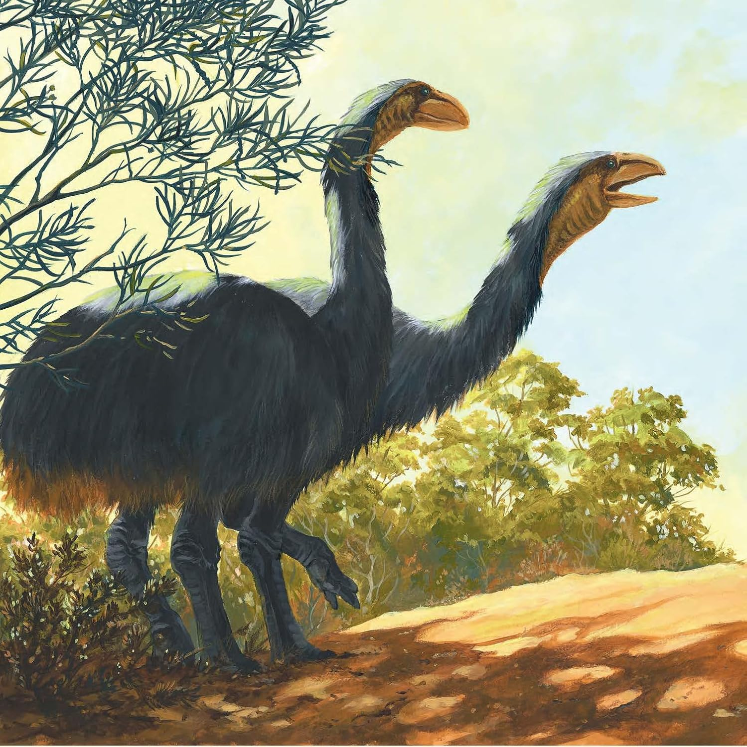 Diprotodon: a Megafauna Journey image number 5