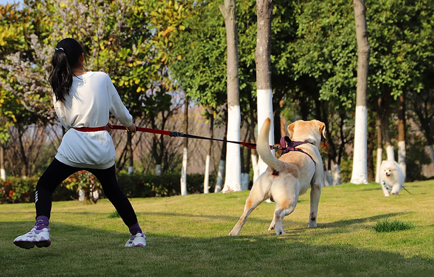 LOS ANDES Heavy Duty Dog Leash - 5-8 FT Walking Leash with Traffic Handle, Shock Absorbing Bungee, Reflective Lead for Medium & Large Dogs, Red image number 1