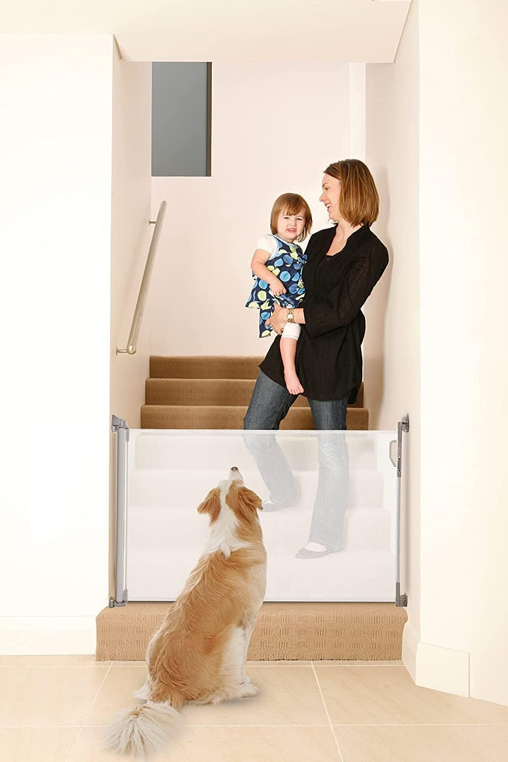 Dreambaby Retractable Gate, 140 Cm Width X 81.5 Cm Height, White - Black image number 6