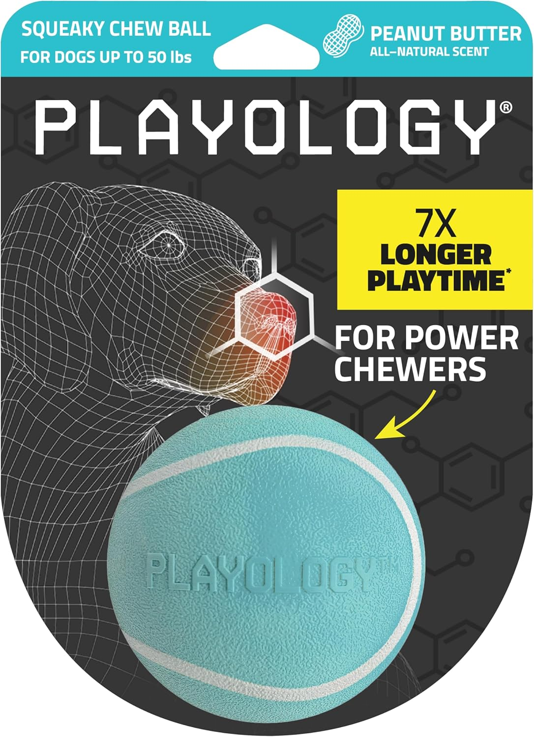 Playology Squeaky Chew Ball for Dogs - Engaging All Natural Beef Scented Dog Toy for Medium/Large Dogs (10Lbs & Up) - Squeak, Bounce, Fetch, and Play!