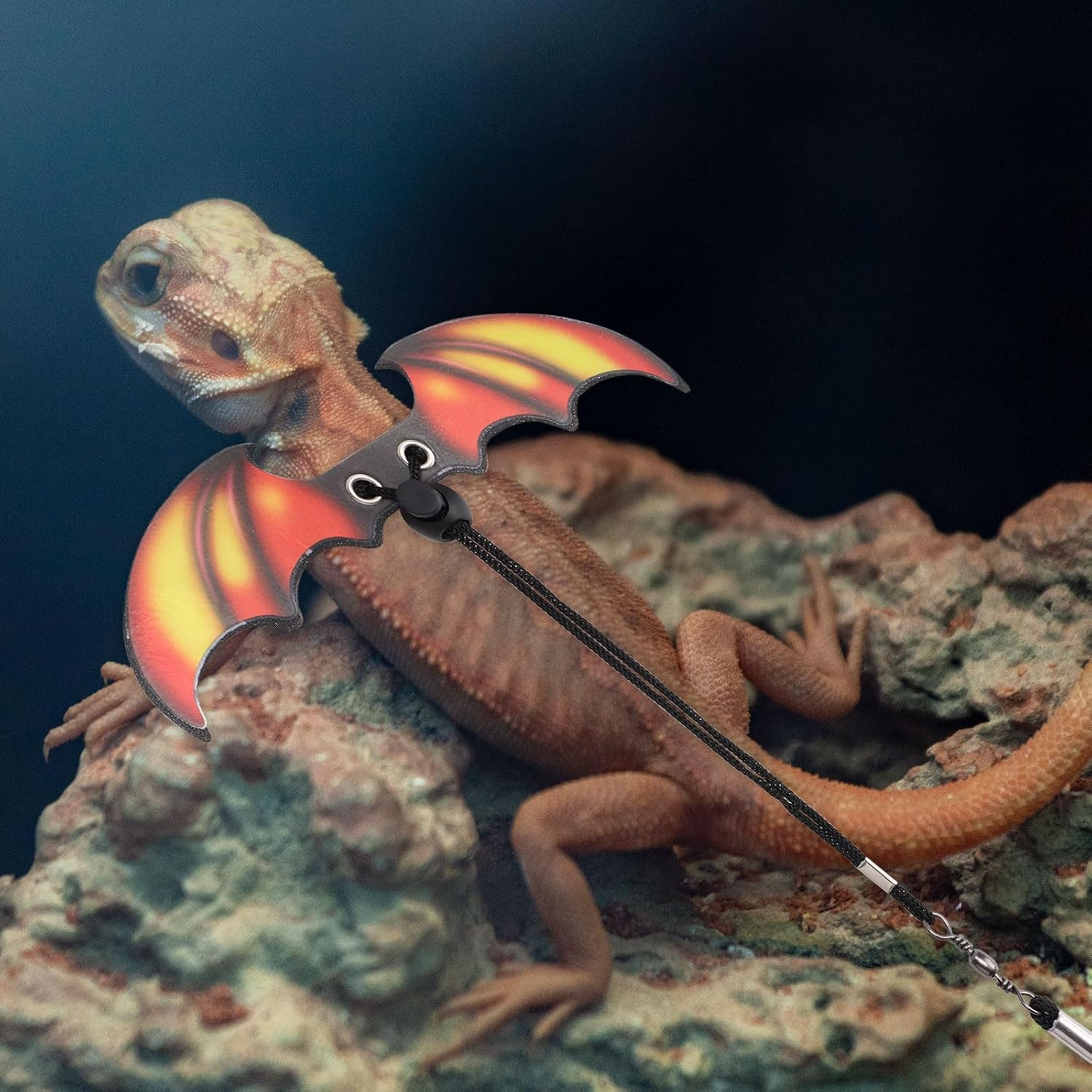 Bearded Dragon Leash and Harness Set, Adjustable Reptile Harness and Leash Cool Bearded Dragon Accessories for Small Pet Animals Reptile Outdoor Safety Walking image number 6