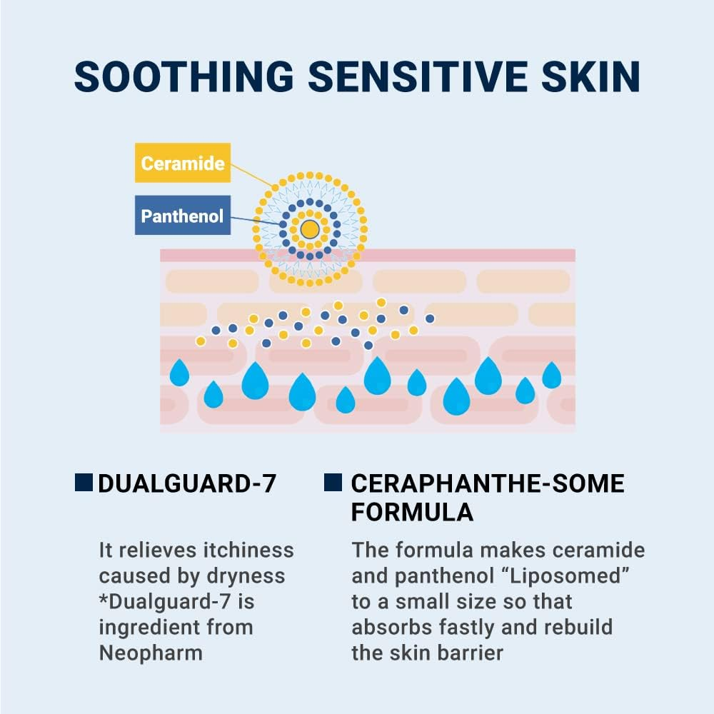 Derma B Ceramd Repair Cream Wash, Unscented Fragrance Free Creamy Face & Body Cleanser for Dry Sensitive Itchy Skin, Deep Moisture Paraben-Free Body Wash, Cream to Foam Cleanser, 13.5 Fl. Oz., 400Ml