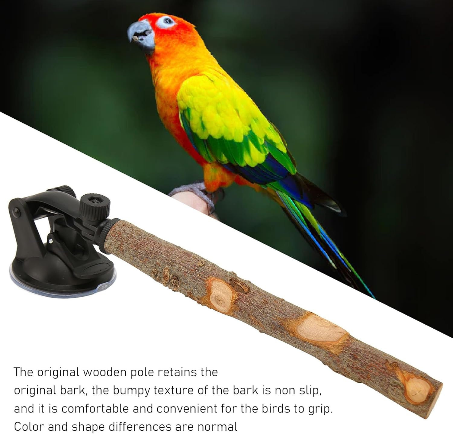 Tnfeeon Bird Standing Stick Adjustable Window Perch Stand with Suction Cups for Small Medium Bird, Comfortable Non Slip Wood Perch for Budgies, Suitable for Tile and Glass Surfaces (15CM) image number 2