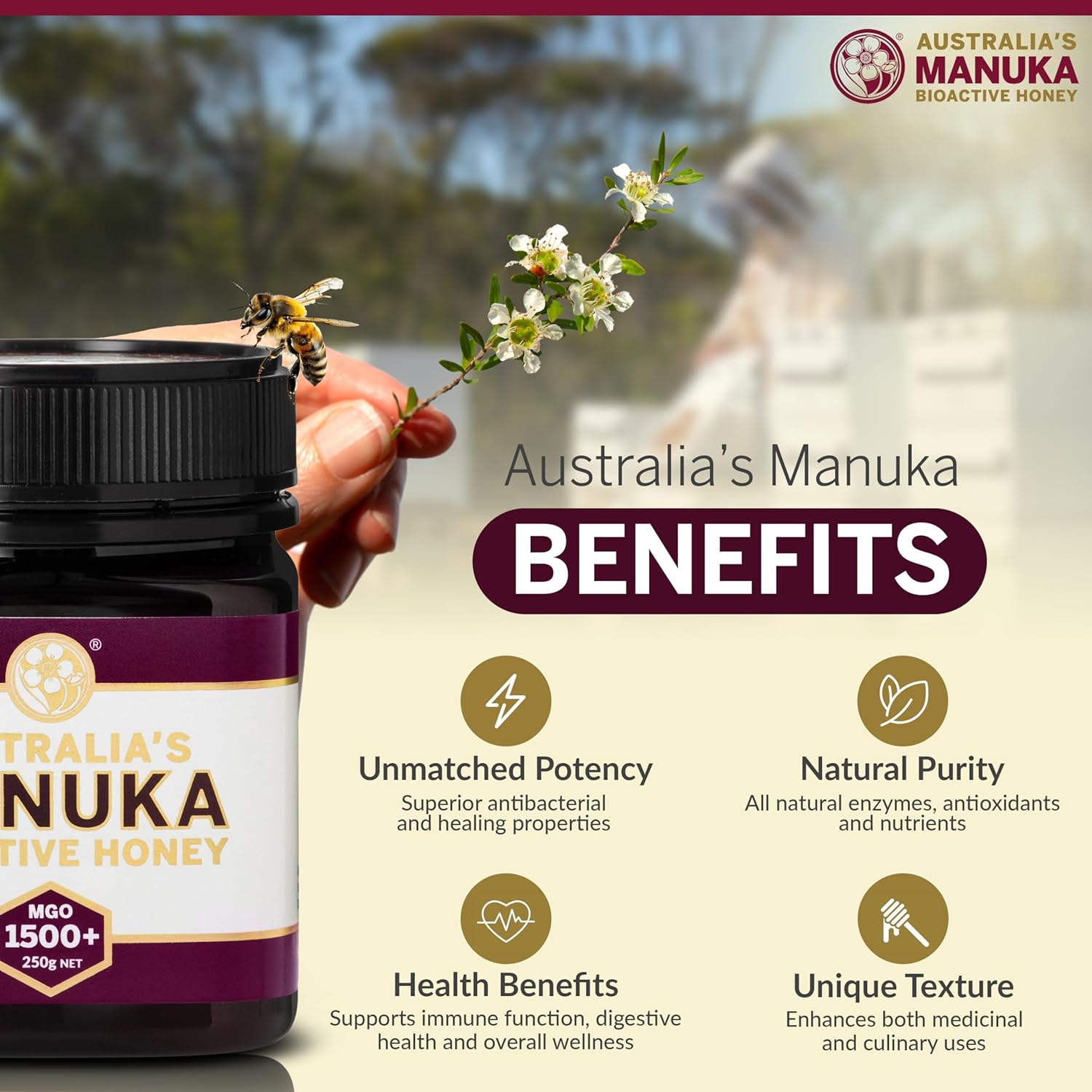 Australia&rsquo;S Manuka Honey MGO 1500+, 100% Raw Honey from Byron Bay, Maximum Strength Intensive & Therapeutic Support, Beekeeper-Owned, AMHA Certified, Lab Tested, Monofloral & Batch Traceable (250G) image number 1