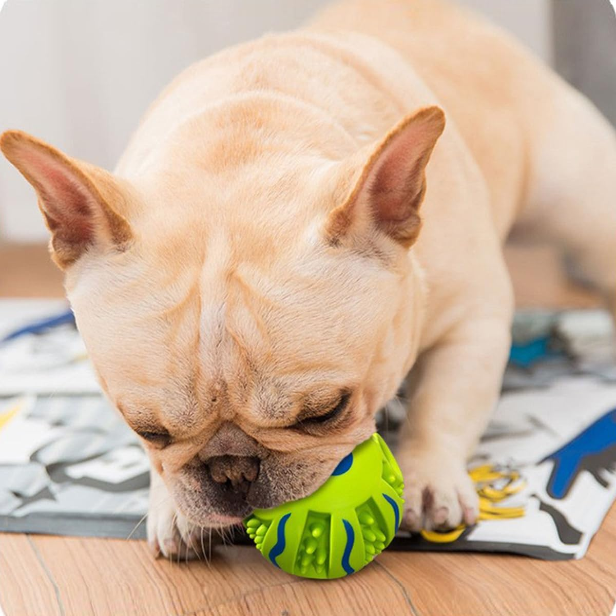 Spikey Dog Balls Squeaky Dog Toys Vocal Teeth Grinding Dog Ball Interactive Pet Toy Cleans Teeth Durable Interactive Toys for Dogs Indoor Outdoor Training image number 5