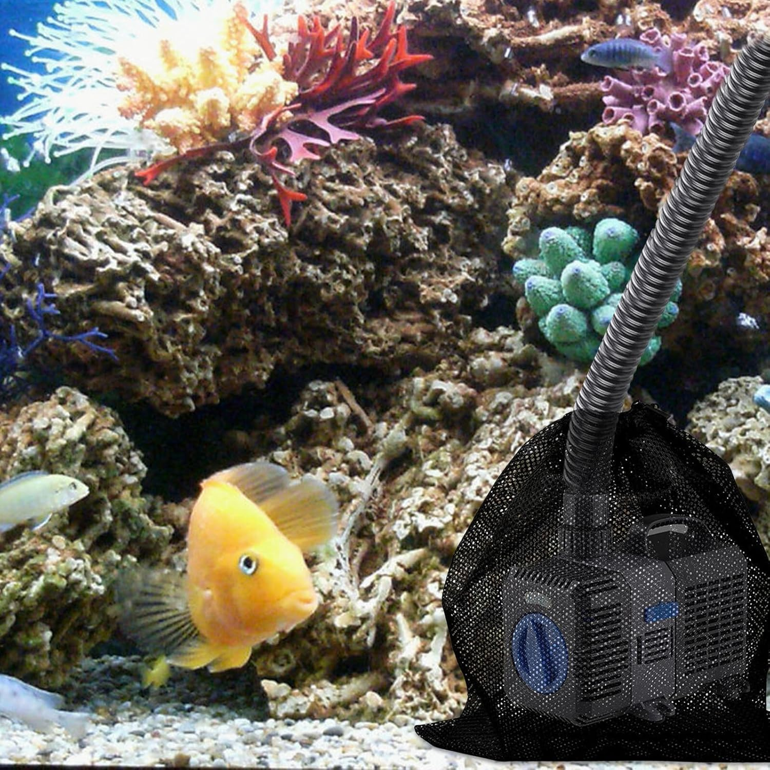 Yardenfun Pump Mesh Bag Large Filter Net for Water Pump Protection Tear-Resistant Mesh Filter Bag to Prevent Dirt Damage Suitable for Home and Outdoor Aquatic Use Black image number 4