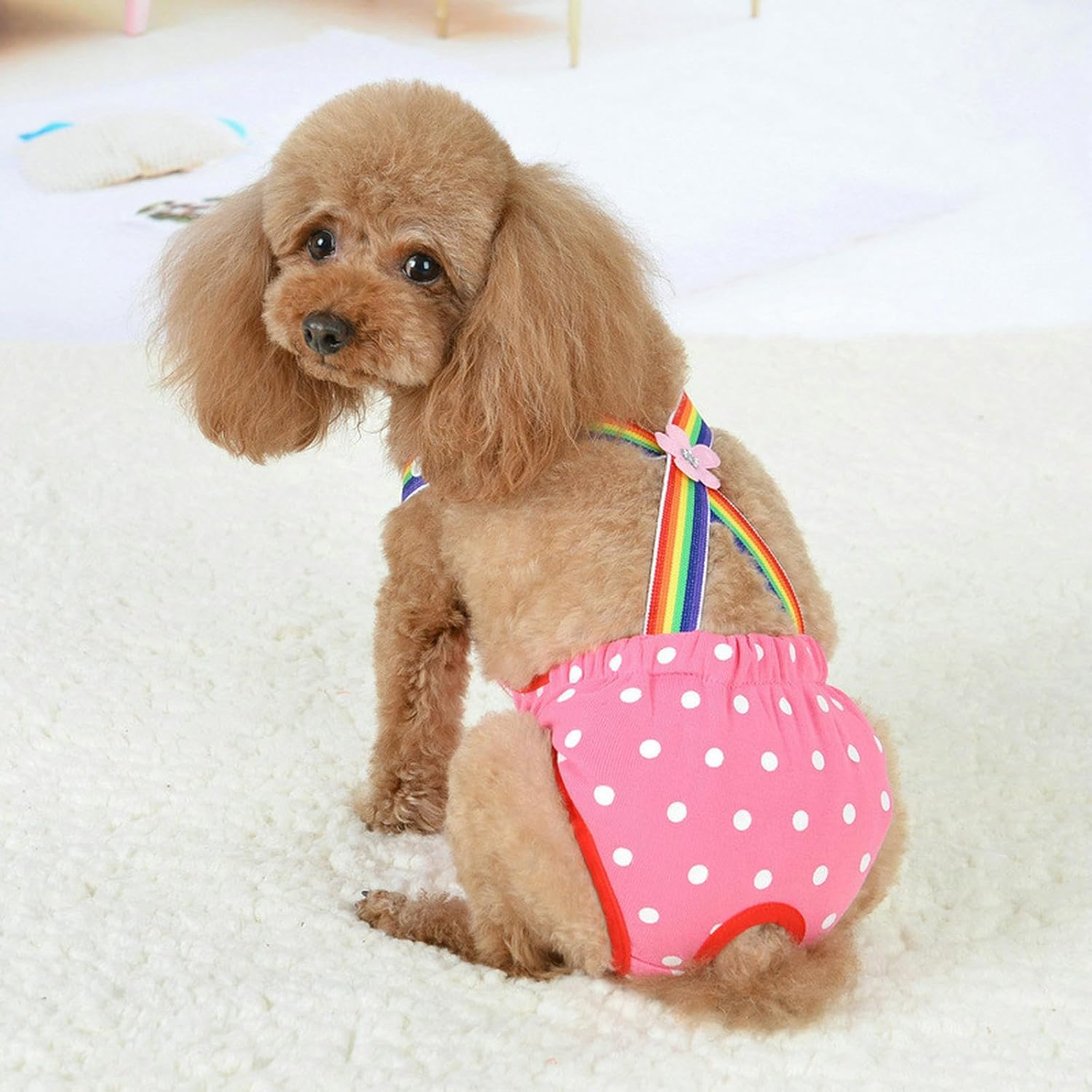IUOUTG 2 Pieces Dog Diapers Female Cute Pet Physiological Pants with Suspender Cotton Breathable Small Dog Menstrual Briefs for Small Medium Pet Dogs image number 6