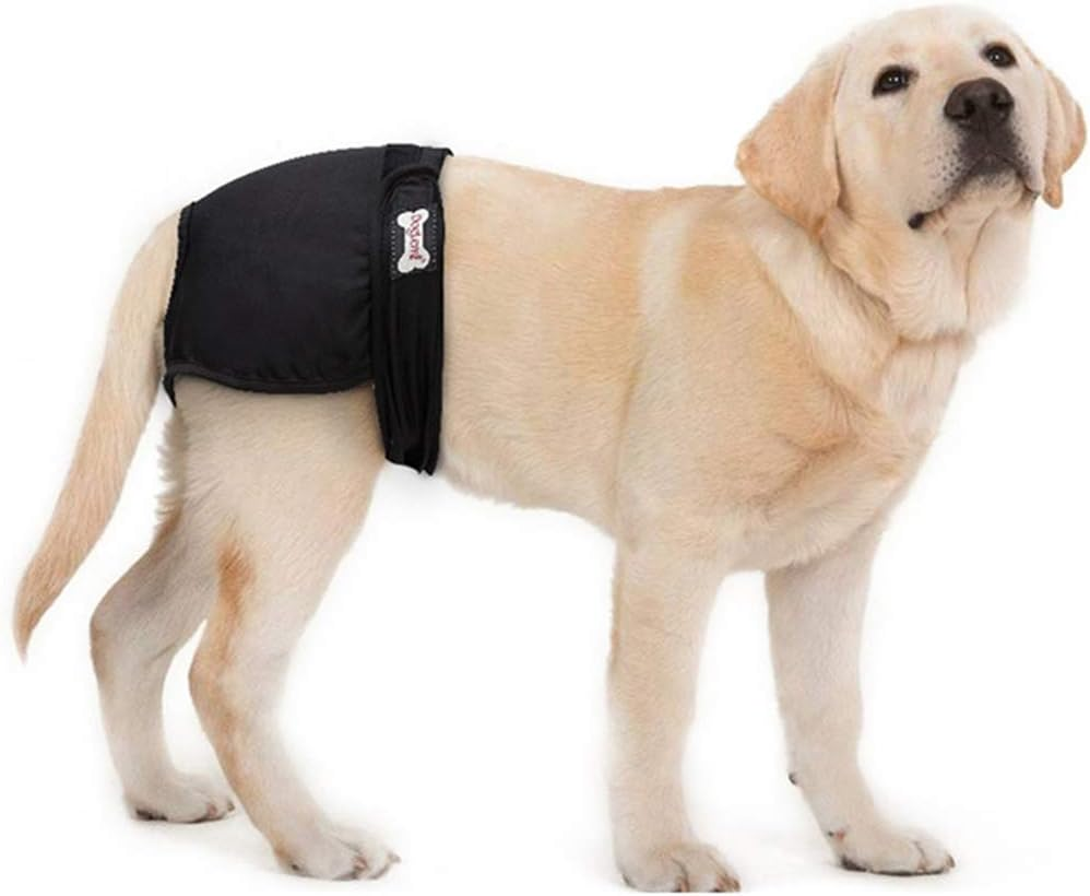 New Female Sanitary Dog Nappy Underpants Diaper Pants Black M L XL (Xlarge) image number 1