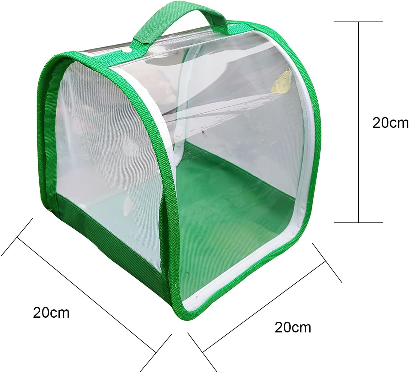 Insect Enclosure,Stick Insect Enclosure,Butterfly House for Caterpillars,Mesh Butterfly Habitat Cage,Butterfly Mesh Cage,Collapsible Insect Mesh Cage for Science Education,Caterpillar Enclosure image number 6