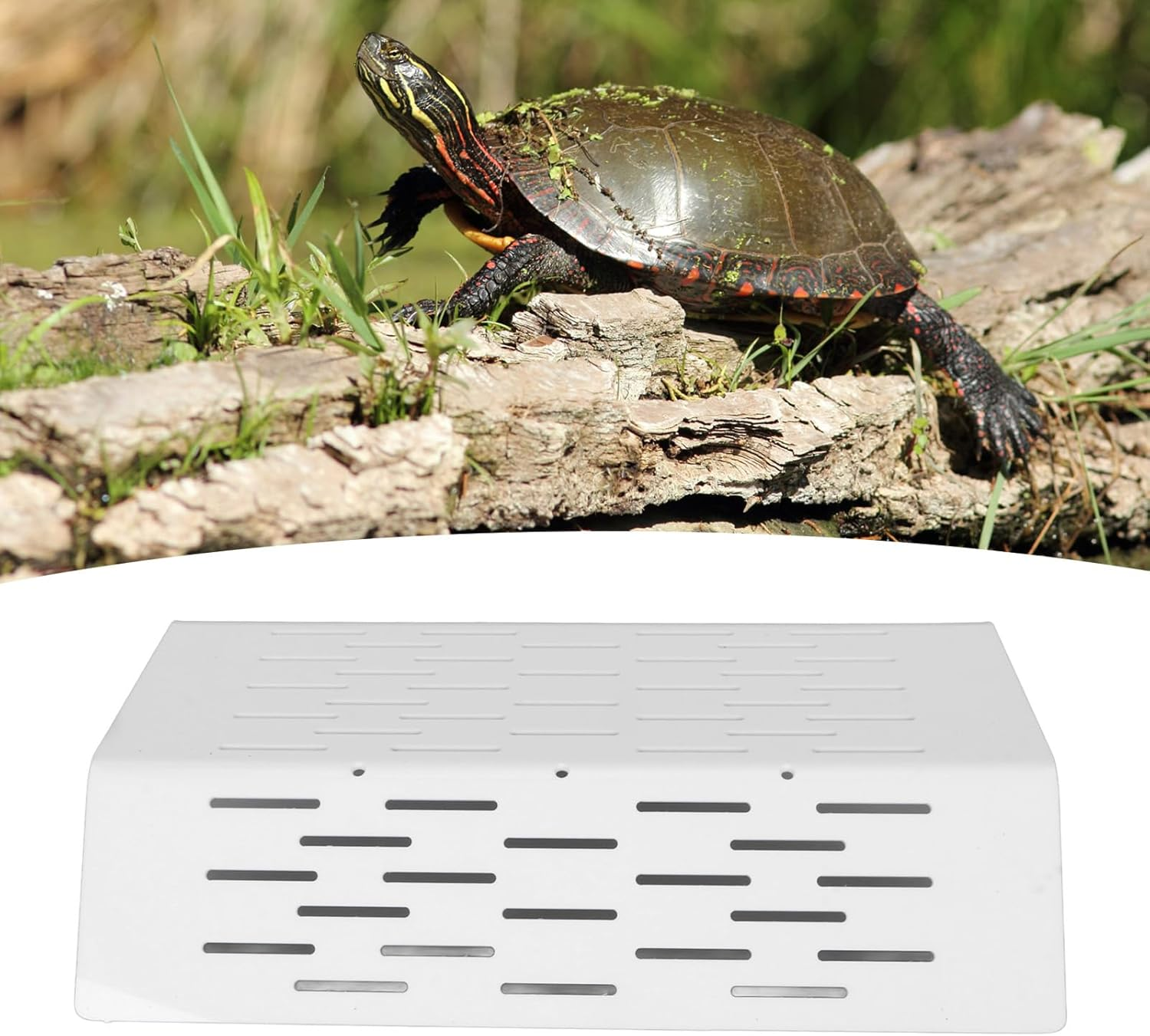 Durable Turtle Tank Platform, Hollowed Steps Resting Dock for Large Amphibians, Reptile Fish Tank Aquarium for Terrariums image number 5