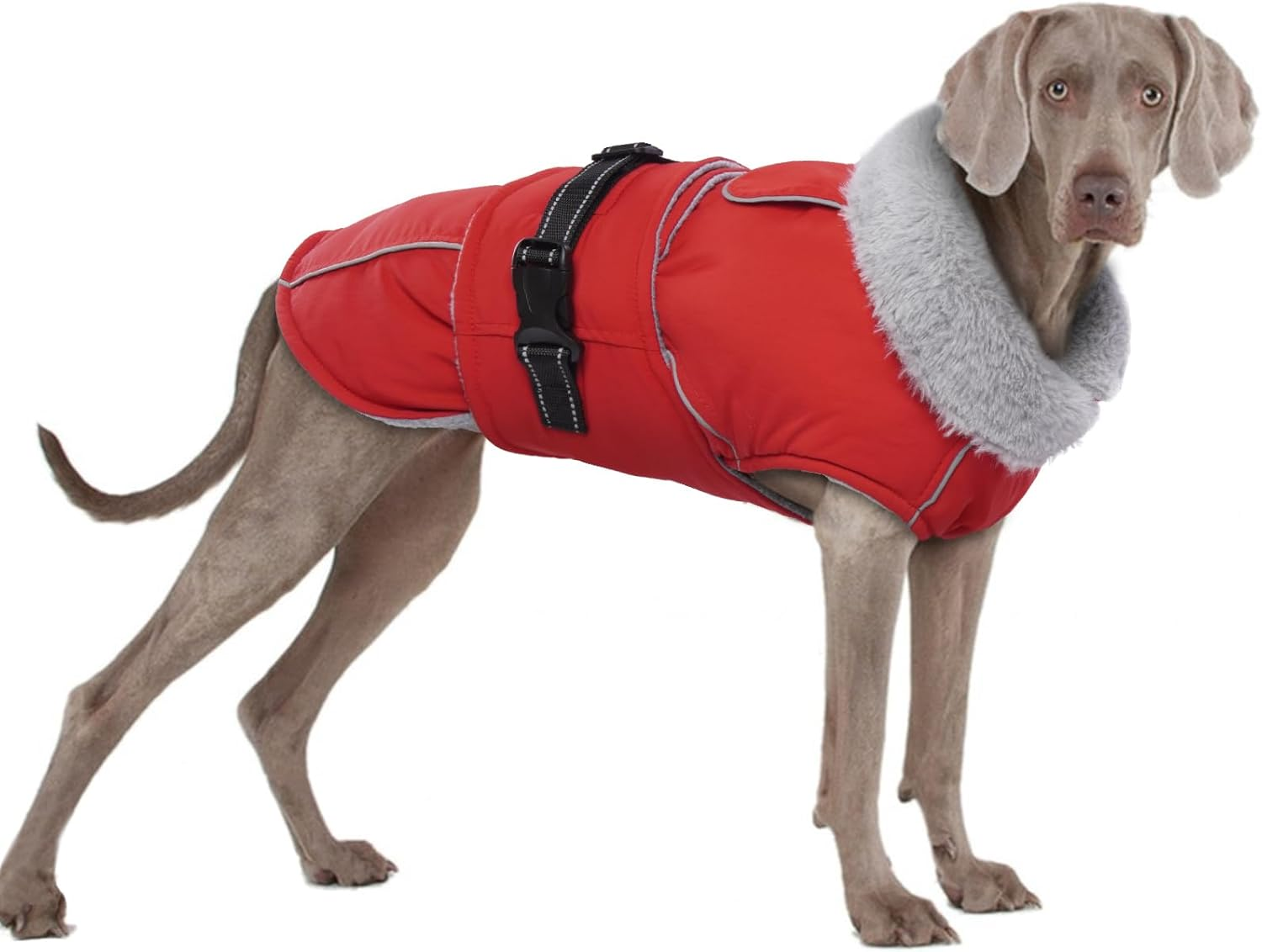 Fleece Winter Coat for Dogs, Dog Coat, Waterproof Dog Jacket, French Bulldog, Warm Vest, Adjustable Dog Clothing, Winter for Small Dogs (Red, 3XL) image number 5