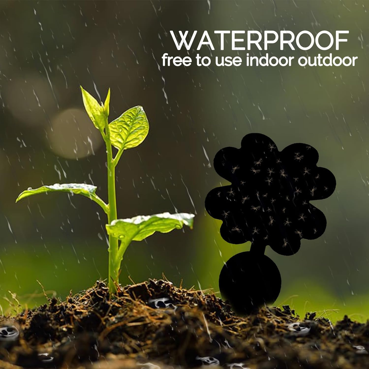 60Pack Gnat Trap Sticky, Fruit Fly Trap for Files Moths Mosquito, Waterproof Fly Trap, Non-Toxic, Harmless and Odorless, Friendly to Pets and Humans, Indoor and Outdoor Use, Black