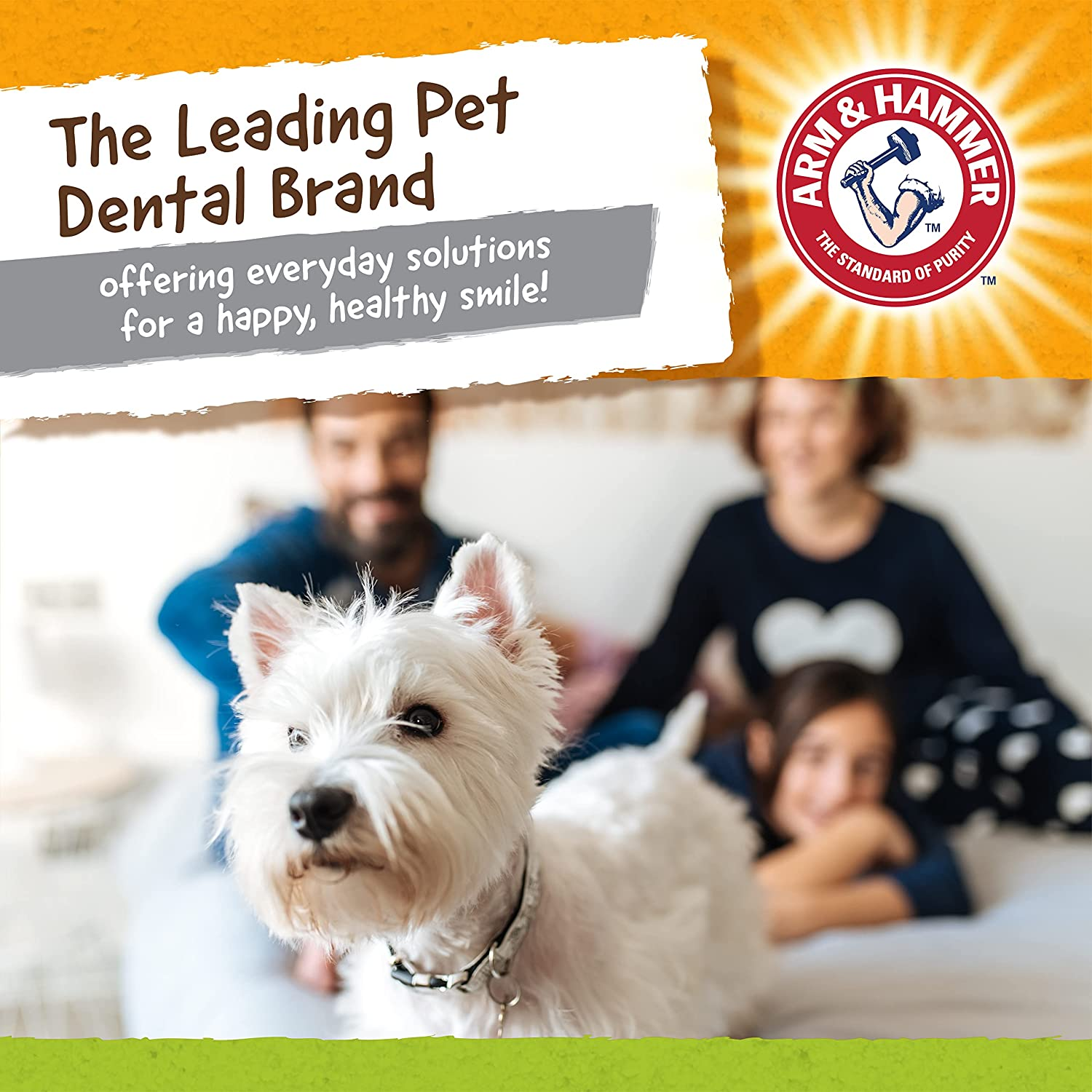 Arm & Hammer Nubbies Duality Bone Dental Toy for Dogs image number 6