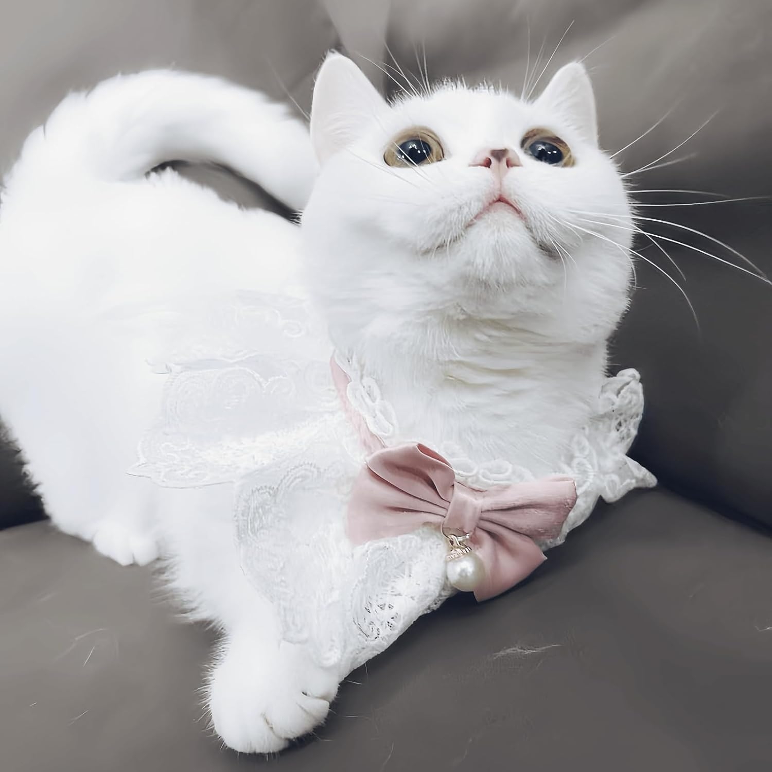 JCBCKJ Cute Cat Bow Collar Breakaway Floral Aesthetic Cats Bowtie Collar Bow Tie with Bell for Indoor Cats Kitten and Small Dogs Puppies (Pink, M (7-11Lbs)) image number 2