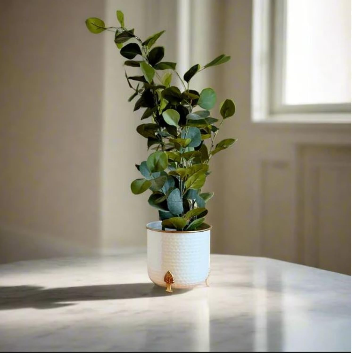 Hammered Gold Rim Leaf Leg Planter by Indian Impressions | White Elegant Metal Planter with Stylish Leaf-Inspired Legs | Modern Indoor Plant Stand for Home, Office & Balcony | Decorative Accent Piece image number 6