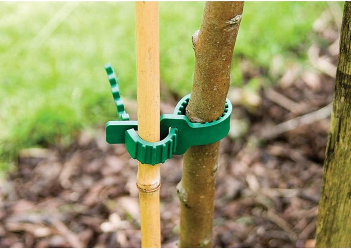 Zhiye Tree Ties Straps Supports, Heavy Duty Adjustable Interlock Garden Plants Shrub Ties for Shrub Rose Plant Tree Support 12Pices 9.4Inch image number 2