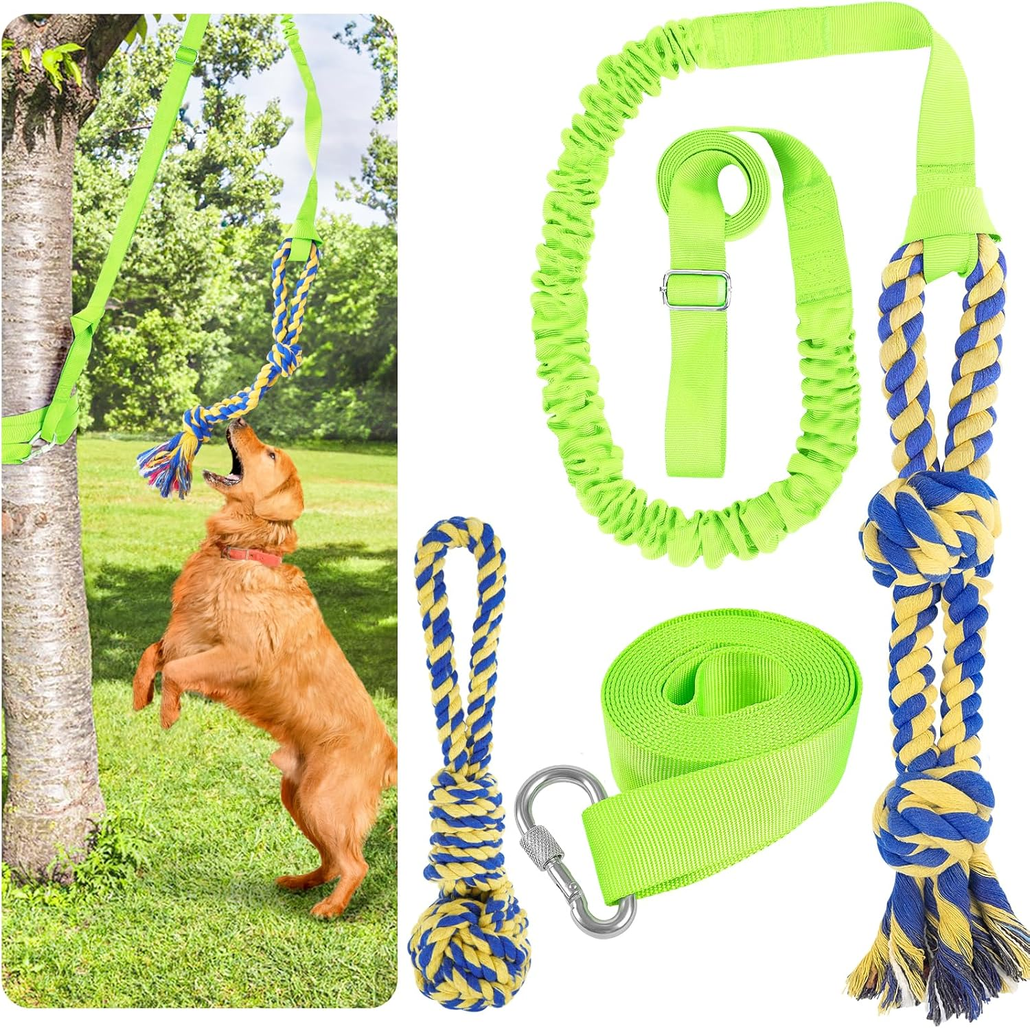 Xiaz Tug of War Dog Toy, Interactive Dogs Toy Bungee Hanging Tether with 2 Chew Rope Toys, Heavy Duty Puppy Outdoor Activity Aggressive Chewers Best Small to Large Boredom Exercise and Play (Green)