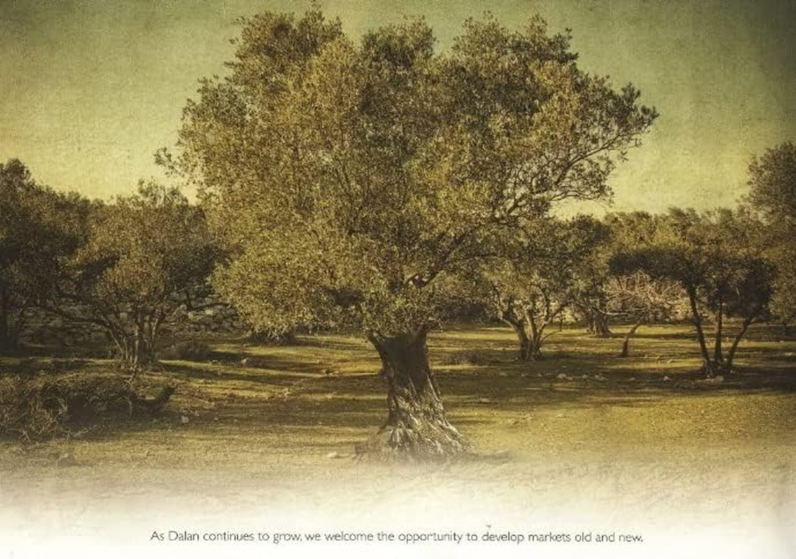 Dalan D'Olive - D'Olive Massage & Anticellulite Bar 150G image number 6