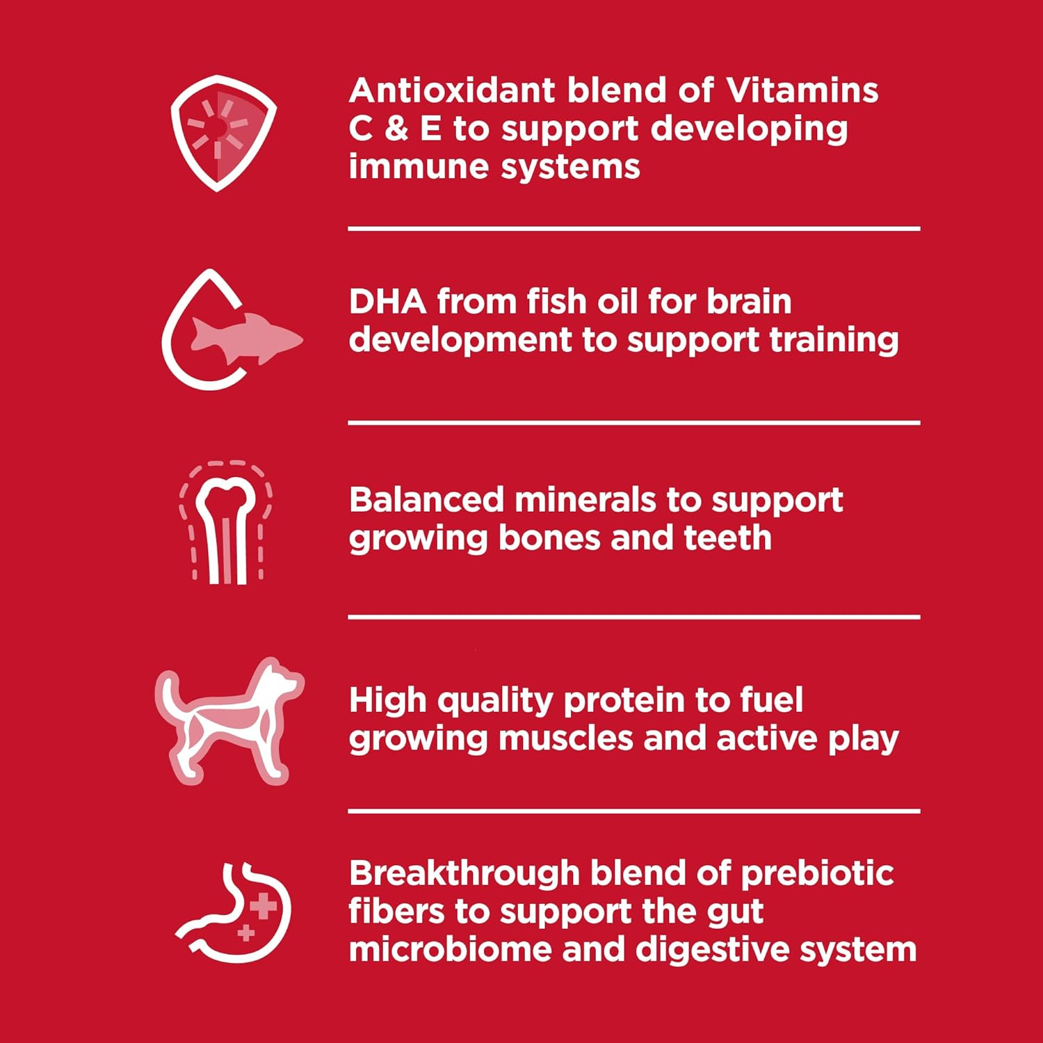 Hill'S Science Diet Puppy Small Paws Dry Dog Food 1.5Kg image number 3