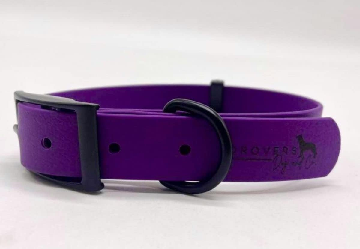 DROVERS Dog and Co Super Tuff Collars - Purple- Stink Proof - Maximum Strength - Easy Clean (Large) image number 1