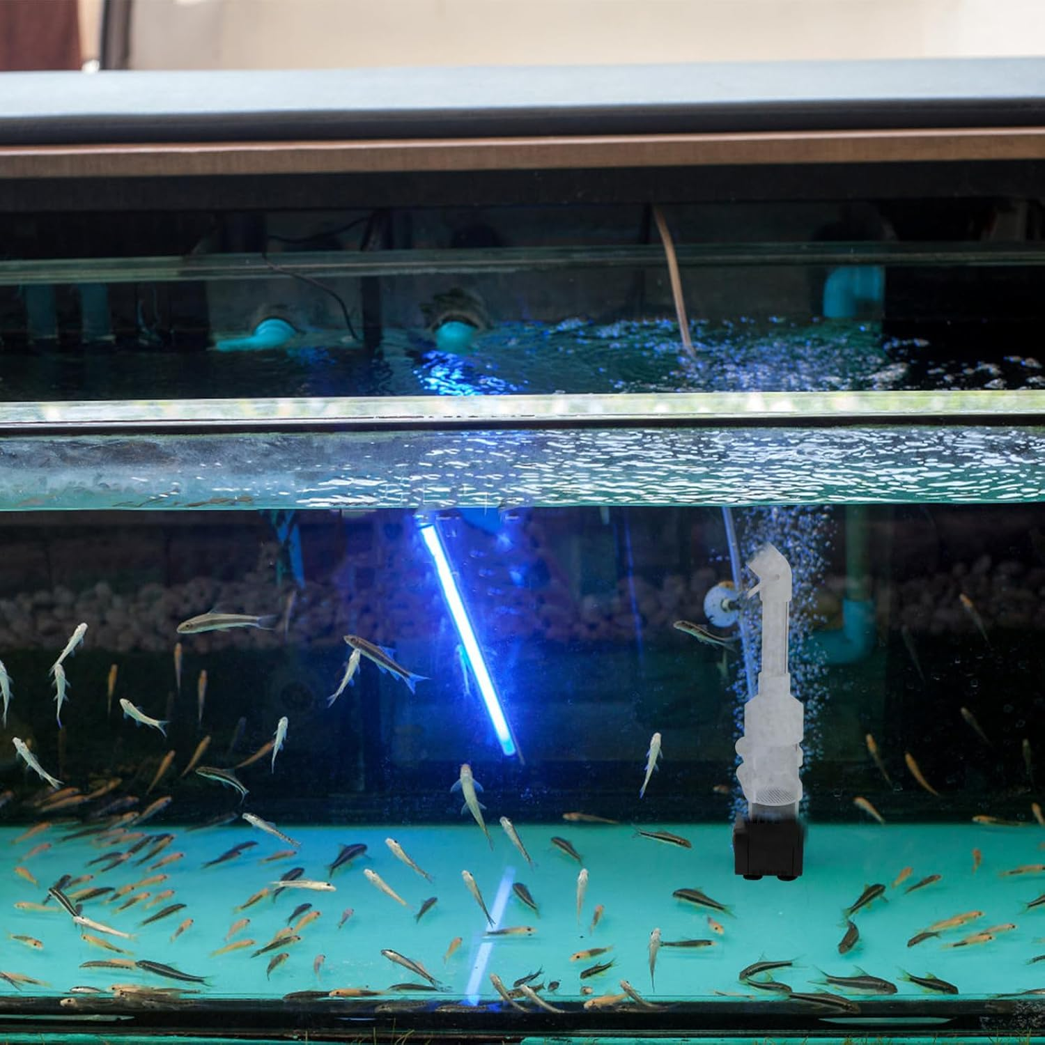 JEWEDECO 2Pcs 50Mm Fish Incubator Tumbler for Aquarium Cichlids Mouth-Brooding Eggs Hatchery Fish Breeding Tank Accessory with Random Color for Aquatic Pets Random Color image number 5