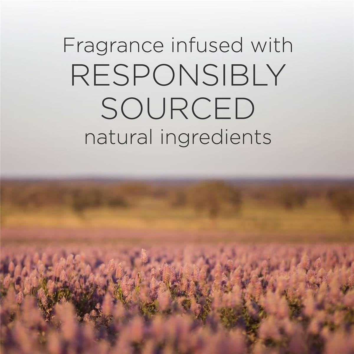 Botanica by Air Wick Reed Diffuser, Eucalyptus and Mediterranean Sage, 80 Ml image number 2