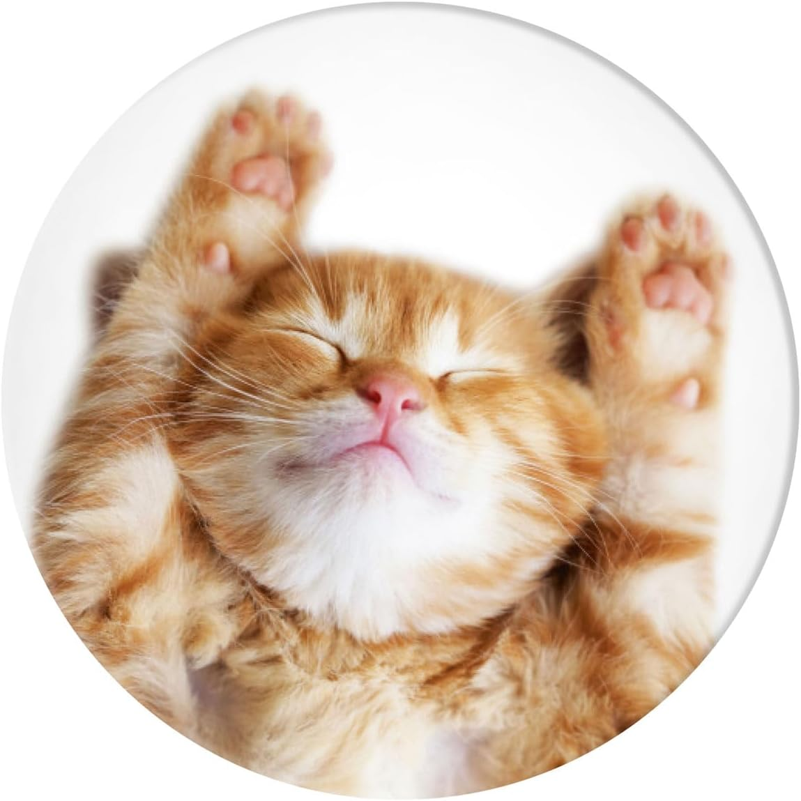 Popsockets Popgrip Extendable Holder and Grip for Smartphones and Tablets Finger Holder Basic Snoozy Cat image number 3