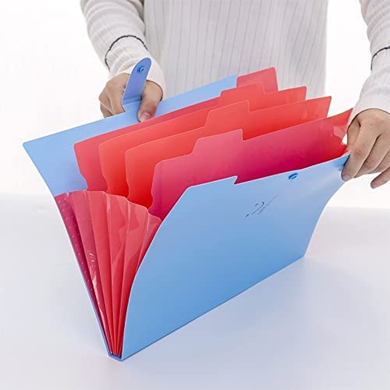 A4 Folder Plastic Folder Insert Storage Bag Storage File Organ Folder File Folder Waterproof File Bag Test Paper Bag Information Booklet 5 Grids 4 Packs (Grass Green + Blue + Light Pink + Purple) image number 5