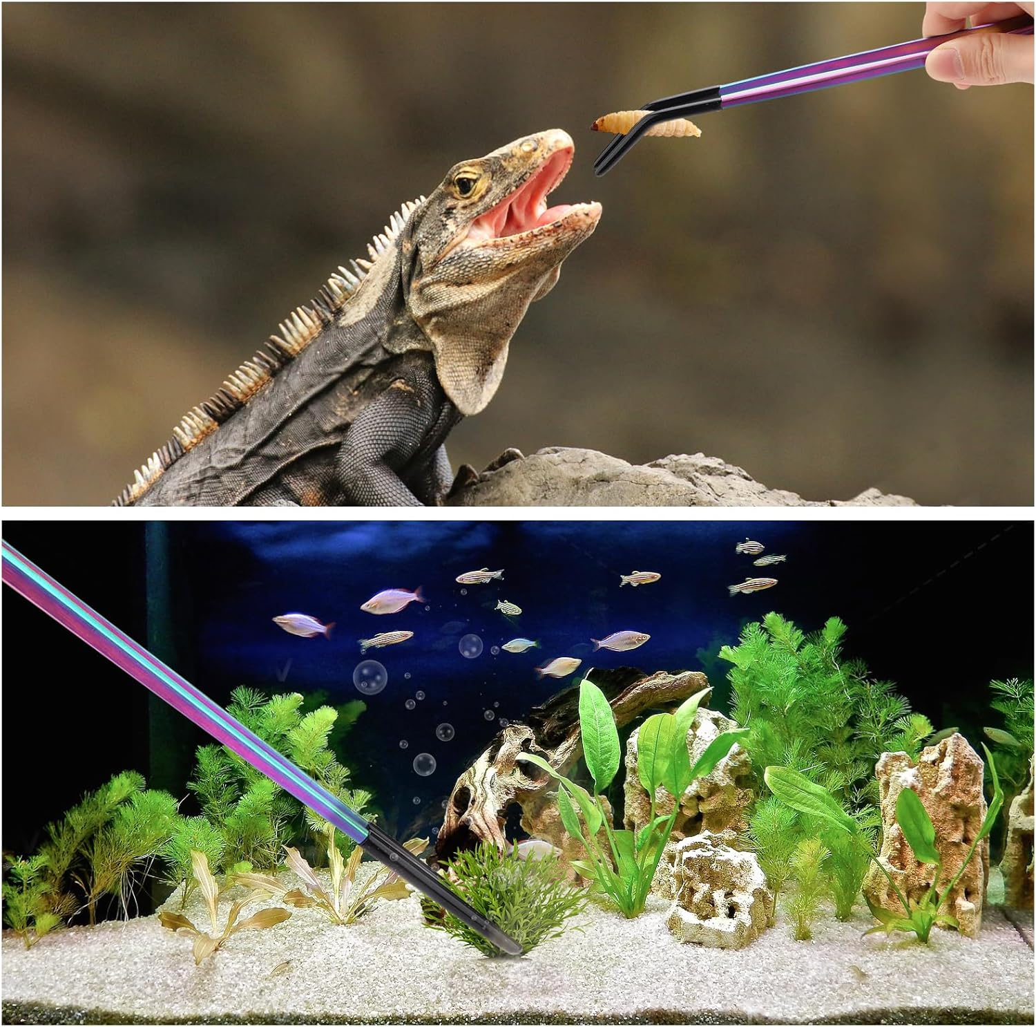 2PCS Stainless Steel Reptile Feeding Tongs with Rubber Tip, 10.6" Straight & Curved Long Tweezers, Perfect for Aquariums & Crafts - Ideal Bearded Dragon & Snake Tank Accessories, Terrarium Supplies image number 5