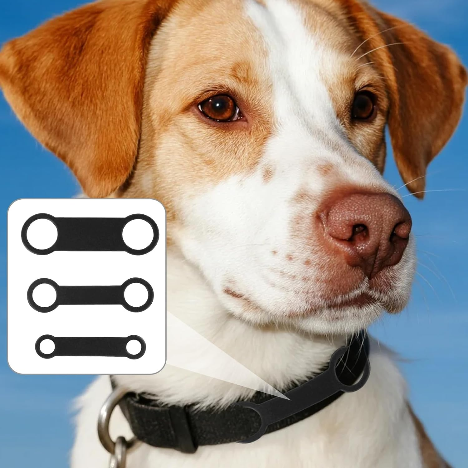 6Pcs Silicone Dog Tags, 3 Sizes Slide on Dog Tags Personalized Puppy Name ID Pet Supplies for Pets Collar (Black) image number 2