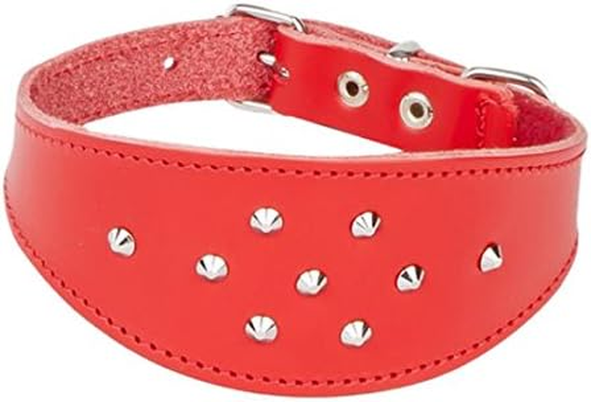 Dingo Decorative Black Leather Collar with Studs for Hound, Whippet, Pariah, Sighthound, Pointer and Other Gun Dog Breeds 12384 image number 4