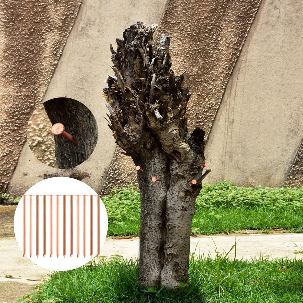 20 Pcs Copper Nails for Killing Trees, Stumps & - 3.5 Inch Long Come with 1 Steel Nails and 1 Drill Nail image number 3