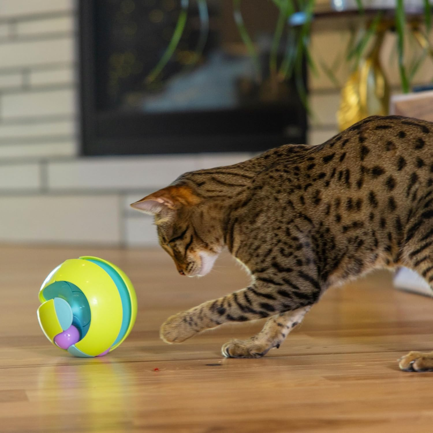 Catstages Twist-A-Ball 3-In-1 Convertible Cat Track Toy, Rolling Ball Toy for Indoor Cats, Green image number 6