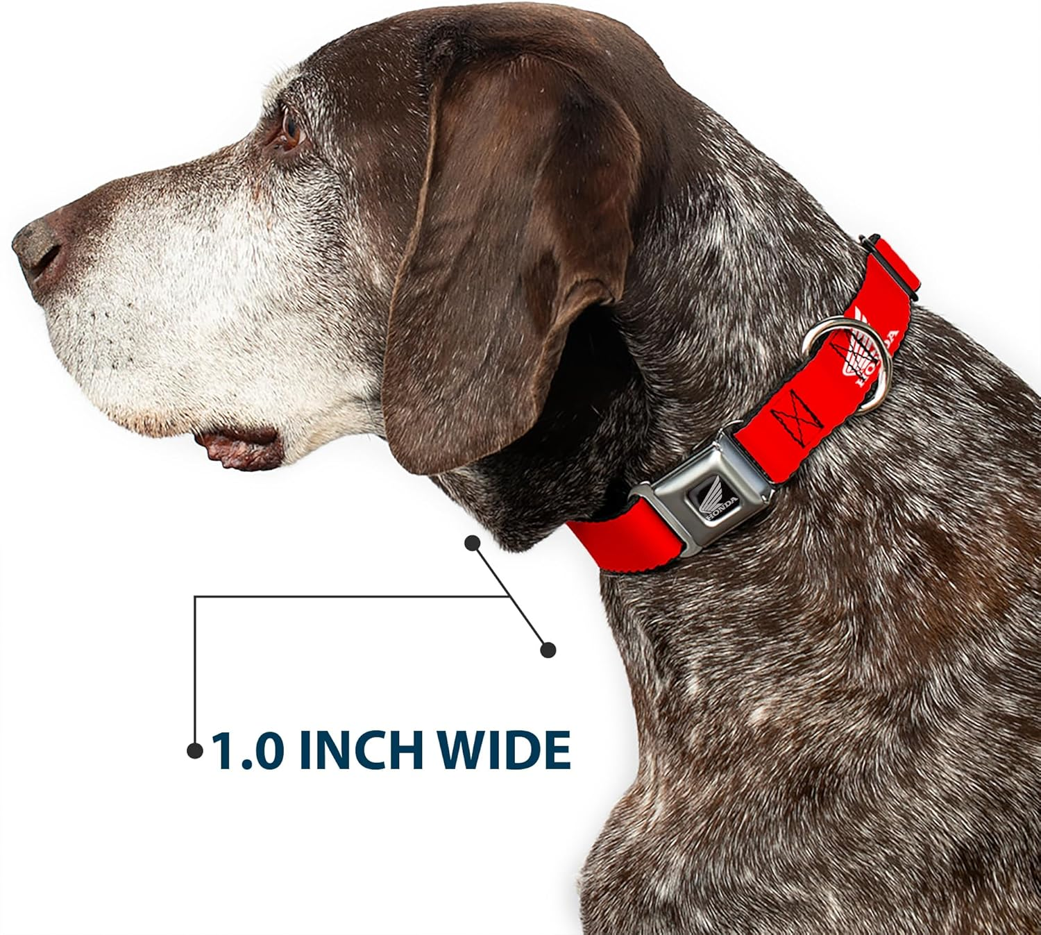 Dog Collar Seatbelt Buckle Honda Motorcycle Logo Red White 16 to 23 Inches 1.5 Inch Wide image number 1