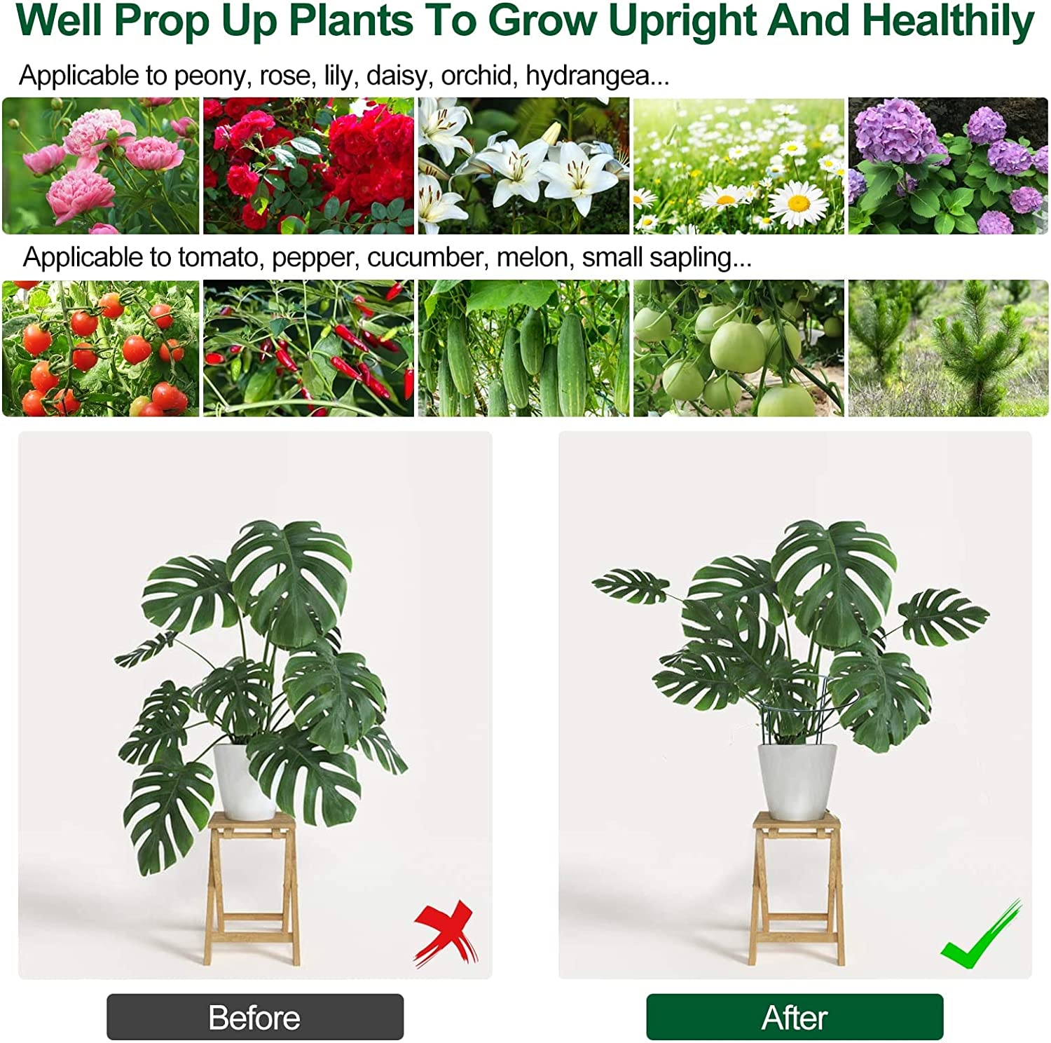 10 Pcs Plant Support Stakes Half round Plant Support Stake 9.8"W X 15.7"H Garden Outdoor Plant Support Ring Cage Detachable Metal Plant Cage Holder with 10 Pcs Plant Ties and Garden Plant Clips (10 Pcs)