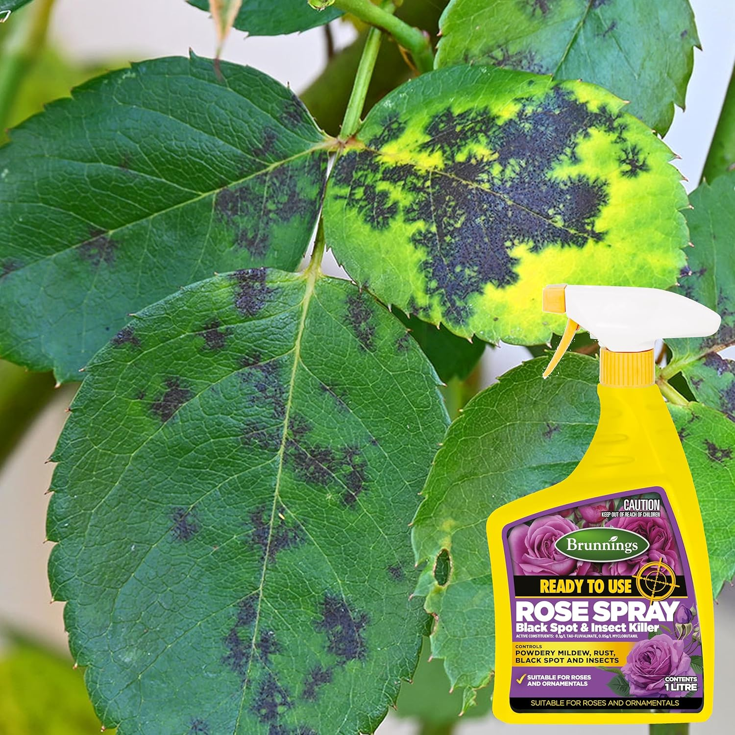 Brunnings White Oil Ready to Use Insecticide Spray 1 Litre image number 6