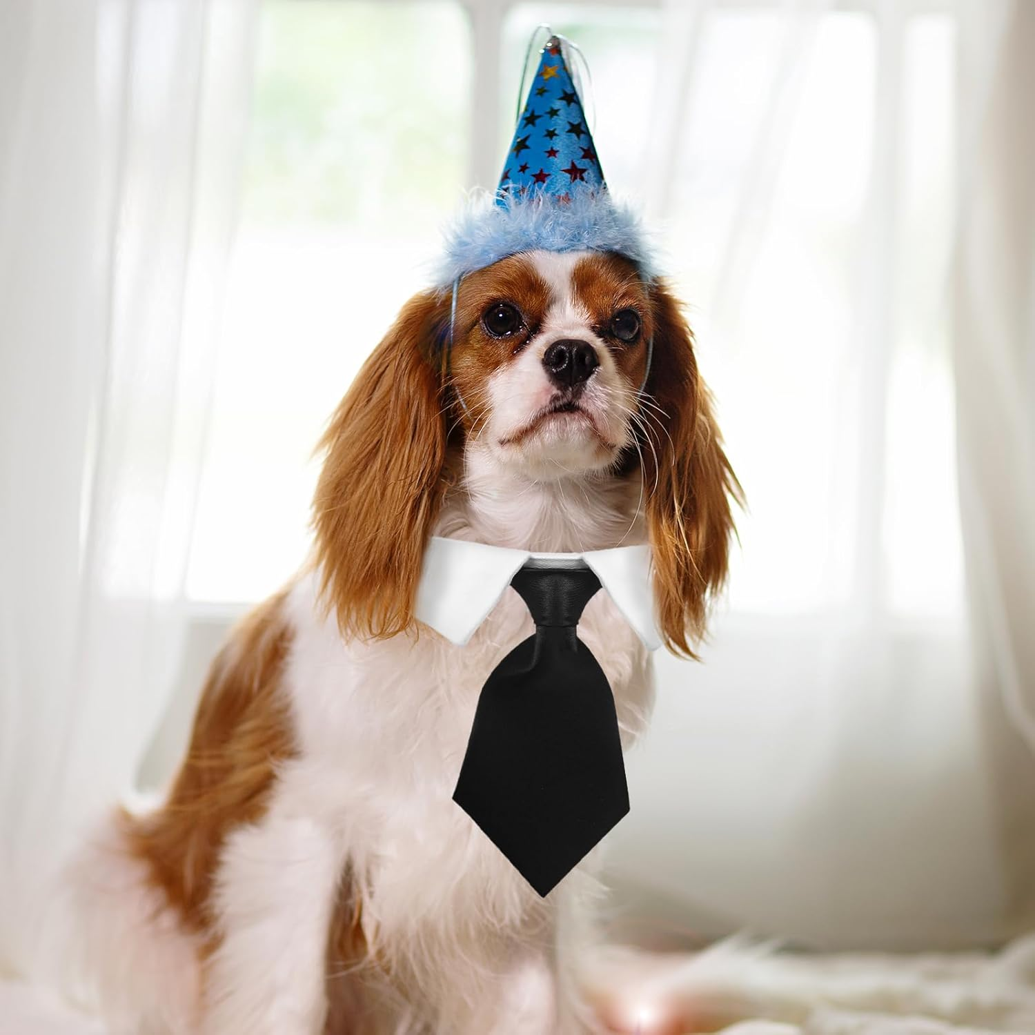 2 Pack Dog Cat Tuxedo Collar Cute Tux Puppies Dog Bowtie Cat Bow Tie Tux Collar Adjustable Formal Pet Cats Necktie for Dogs Cats Birthday Wedding Costumes image number 1