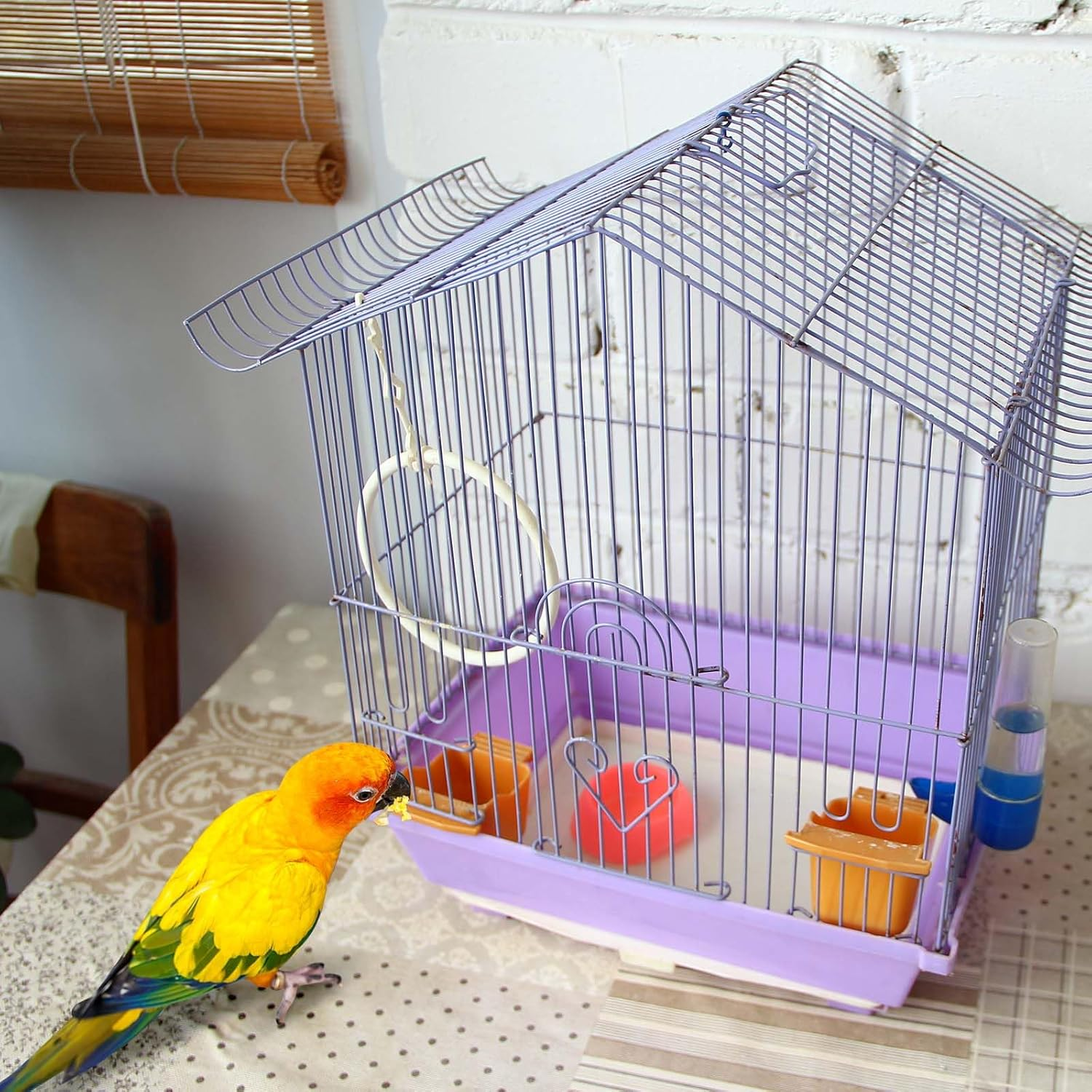 Drydiet 100 Ft X 22 Inch Bird Cage Liner Disposable Cages Cushion Pad Mat Precut Absorbent Bird Cage Paper Large Parakeet Cage Liners Accessories for Pet Animal Bird Parrot (White) image number 1