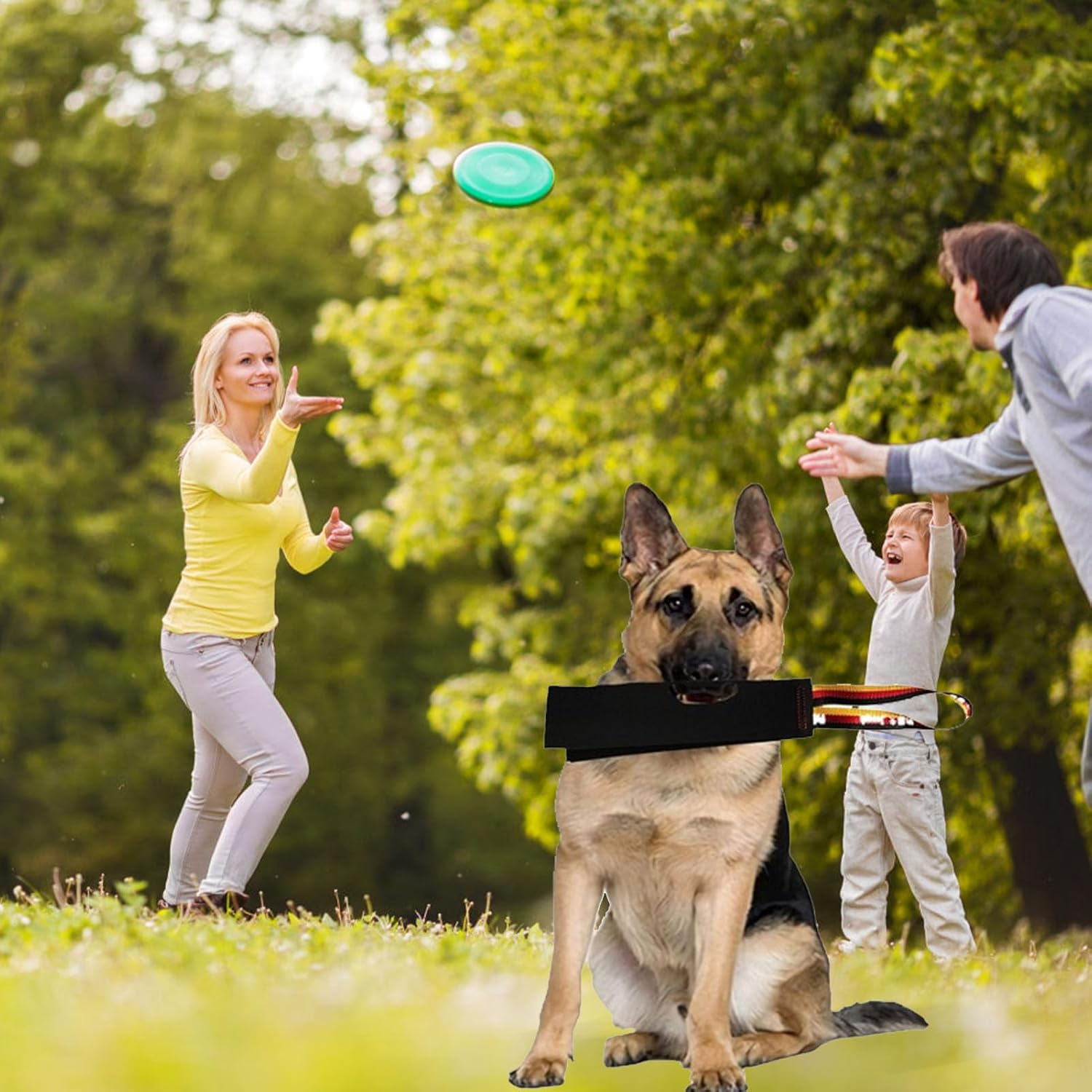 Bite Rag for Dogs Train Bitegrip, Build Prey Drive Leather Interactive Tug of War Toy with Handle for Dog Training, Leather Tug