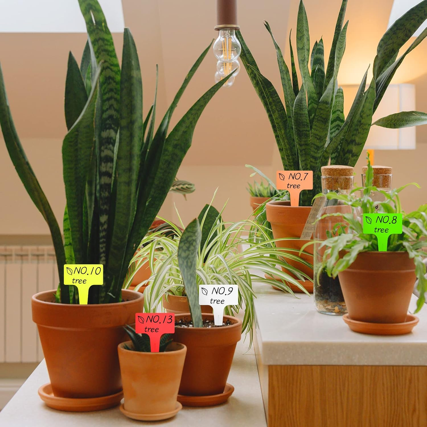 100Pcs T-Type Plant Tags，Waterproof Thick Plastic Plant Makers，6 X10Cm Nursery Garden Labels(Multicolor) (SZ-BC610T) image number 3